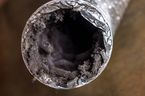 Best HVAC System Cleaning  in Franklinville, NC